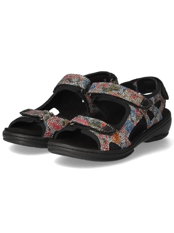 Fidelio Sandalen in Schwarz