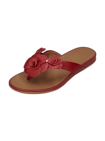 fitflop Zehentrenner GRACIE FLOWER LEATHER in rot