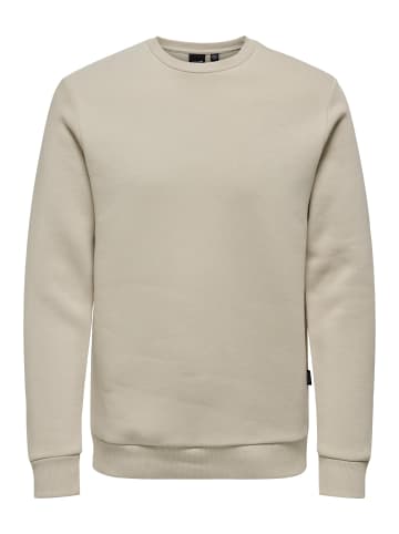 ONLY & SONS Sweatshirt Ceres in Beige