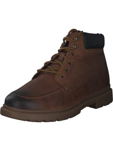 Geox Klassische Stiefel in BROWNCOTTO