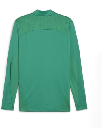 Puma Jacke "TeamFinal Training Jacket" in Grün