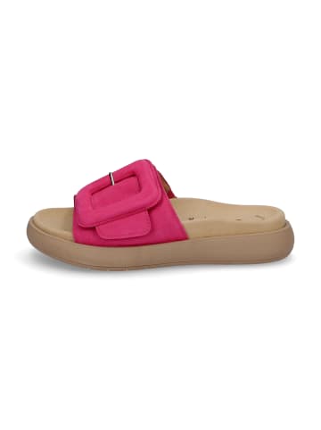 Gabor Fashion Pantolette in Pink