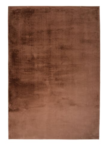 Vivorum Wohnzimmer / Schlafzimmer Kurzflor Teppich Cross 425 in braun