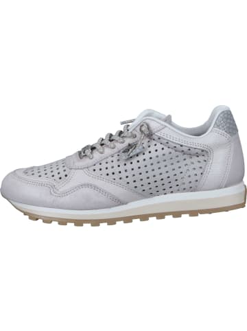 Cetti Sneakers Low in caliza