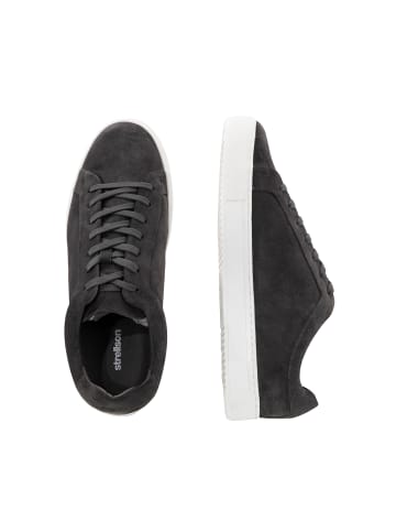 Strellson Sneaker 'Epsom Ethan in Dunkelgrau'