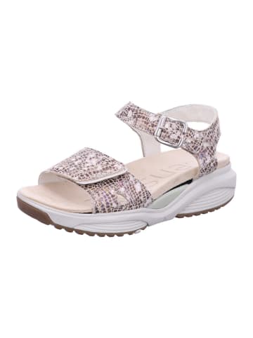 Xsensible Damen Sandaletten Skala in Beige