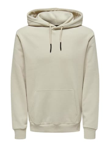 Only&Sons Sweatshirt in hellgrau2