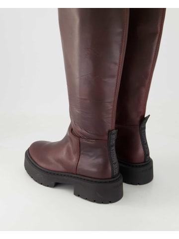 Steve Madden Klassische Stiefel in Bordeaux