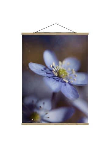 WALLART Stoffbild mit Posterleisten - Anemonen in Blau in Blau