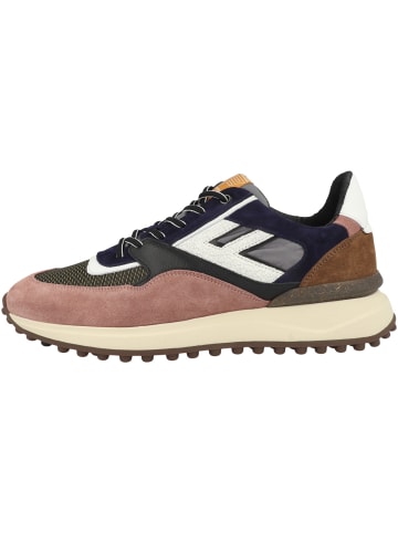 Floris van Bommel Sneaker low Noppi 29.11 in multicolor