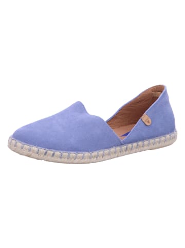 Verbenas Slipper Carmen in sea