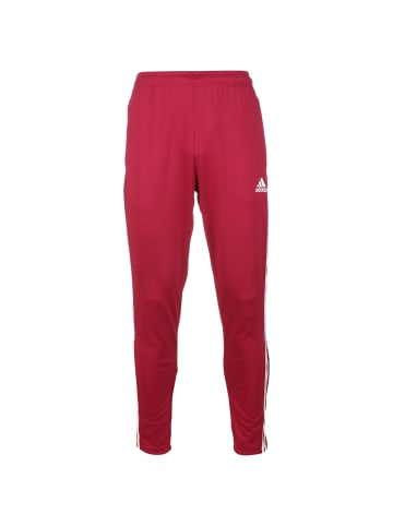 Adidas Sportswear Trainingshose Tiro in rot / bunt