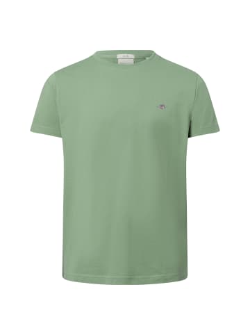 Gant T-Shirt in oliv
