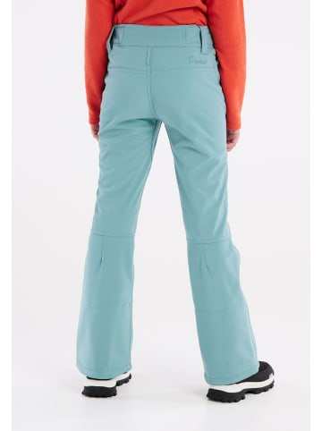 Protest " LOLE JR in Crocodile Green