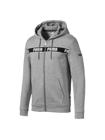 Puma Kapuzenjacke in Grau