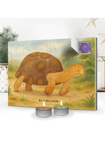 Mr. & Mrs. Panda Duftkerzen Adventskalender Schildkröte MHerzie... in Weiß