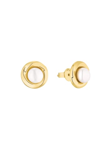 Amor Ohrstecker Gold 375/9 ct in Gold