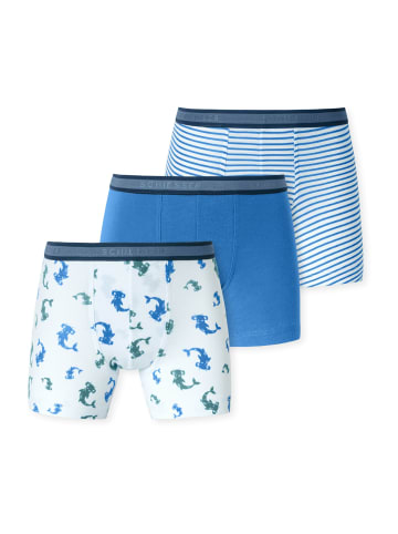 Schiesser Trunk 955 in aquarium