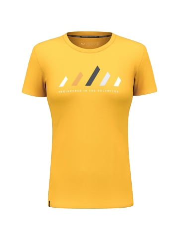 Salewa W PURE STRIPES DRYTT-SHIRT in Gold