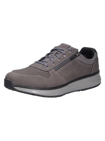 Joya Schnürschuh DYNAMO ZIP M DARK GREY in grau