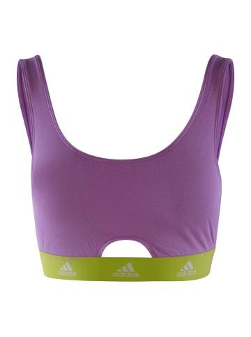 adidas Bustier SCOOP BRALETTE in bliss lilac