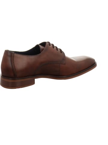 LLOYD Schnürschuhe in braun