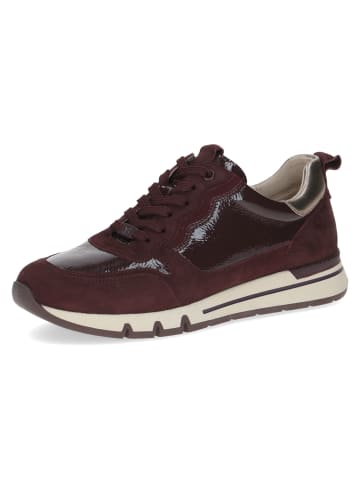 Caprice Schnürschuhe in bordeaux comb
