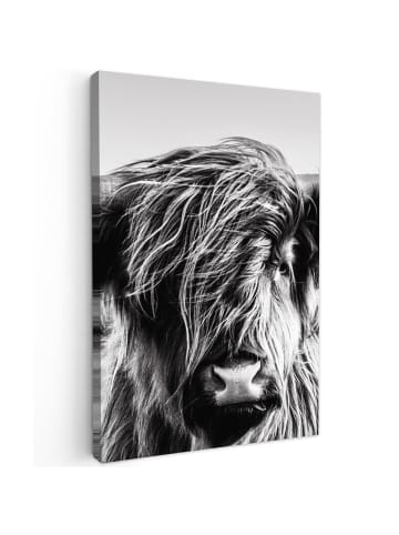 MuchoWow Leinwand bilder Schottisches Hochlandrind (BxH)