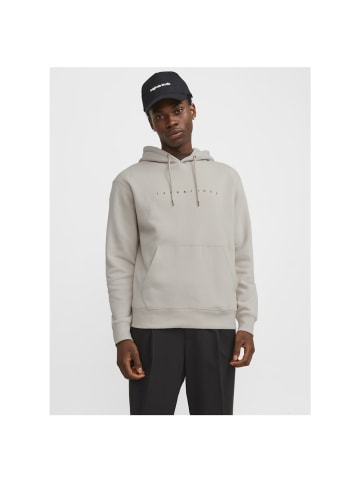 Jack & Jones Sweatshirt in moonbeam