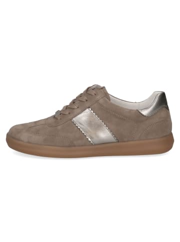 Caprice Schnürschuhe in mud comb