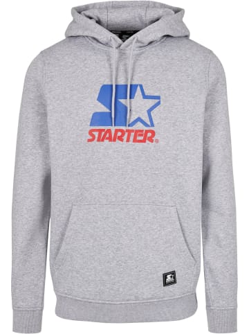 STARTER Kapuzenpullover in grau