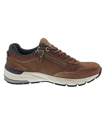 Camel Active Sneaker low Braun