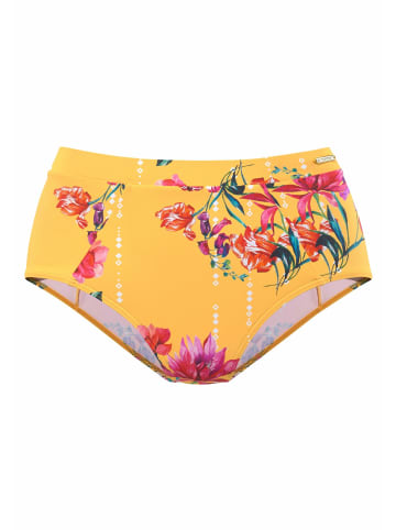 Sunseeker Highwaist-Bikini-Hose in gelb-bedruckt