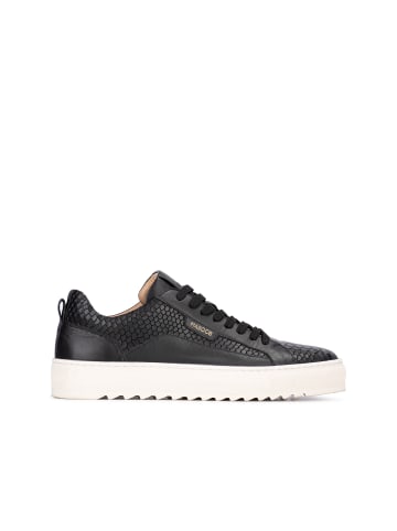 Haboob Haboob "LEWIS" Herren Turnschuhe