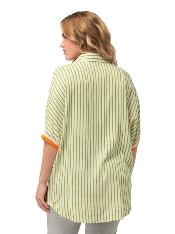 Ulla Popken Hemdbluse in apfelgrün