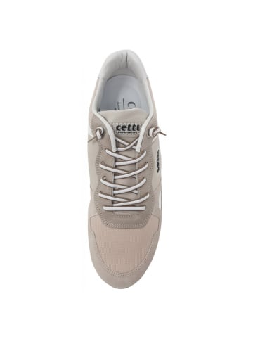 Cetti Sneaker  in Beige