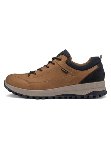 ara Sneaker Low in braun