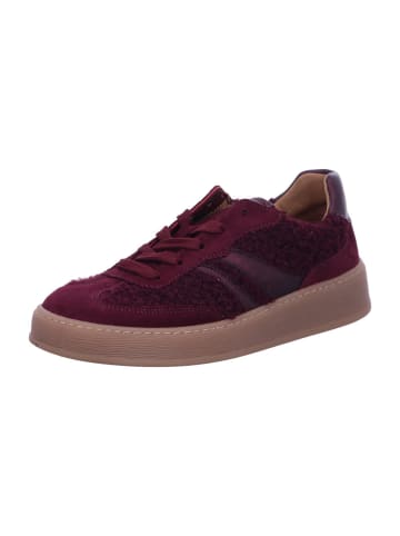 Gabor Sneaker Low in bordeaux