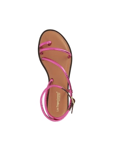 Les Tropéziennes par M Belarbi Ledersandalen von M.belarbi Hatrio Rose