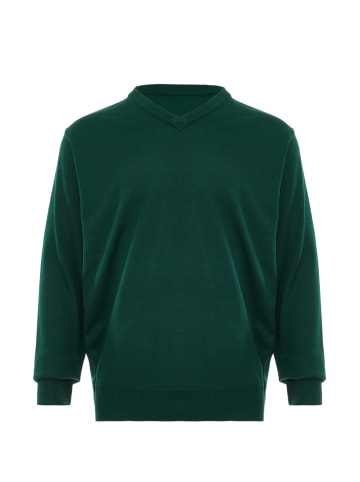 RAIDO Herren Pullover in Grün