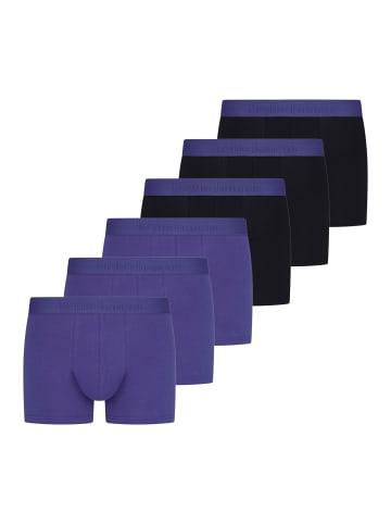 Bruno Banani Retro Short / Pant Flowing in Schwarz / lila
