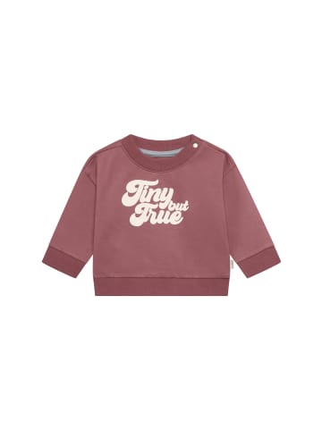 Noppies Sweater in Baked Cherry