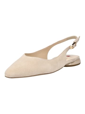 Högl Ballerinas in Sand