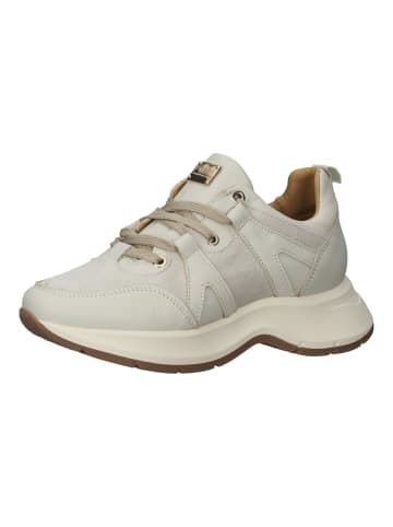 Scapa Sneaker in Beige