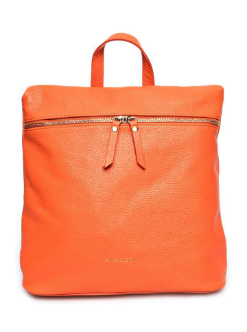 Anna Luchini Rucksack in Bunt