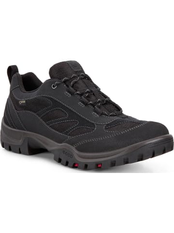 Ecco Wanderschuhe in Black