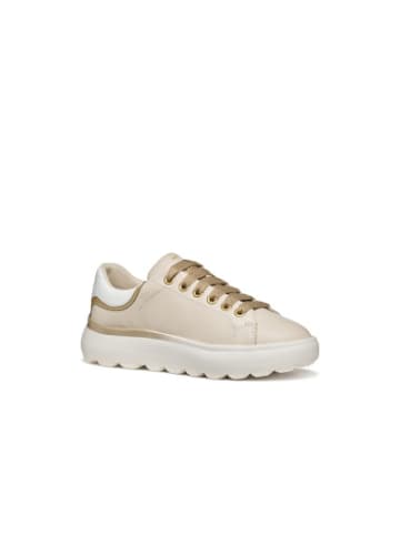Geox Sportschuhe D in Papyrus/Hellgold