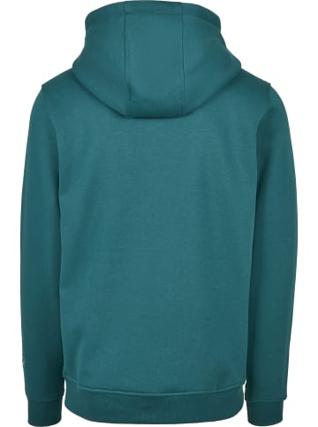 STARTER Sweat & Fleece - Hoodies in retro green