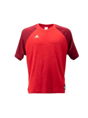 adidas Shirt FCB FC Bayern Basketball Shooter in Rot