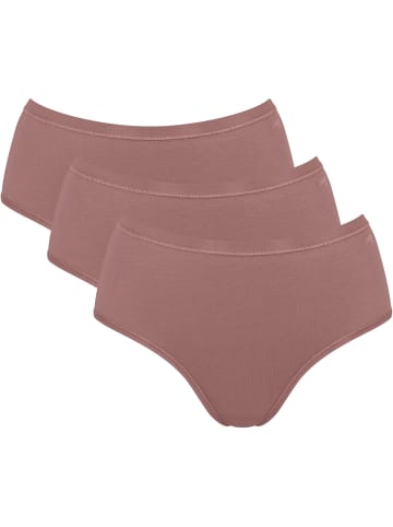 Sloggi Midislip GO Daily Cotton Midi in CACAO